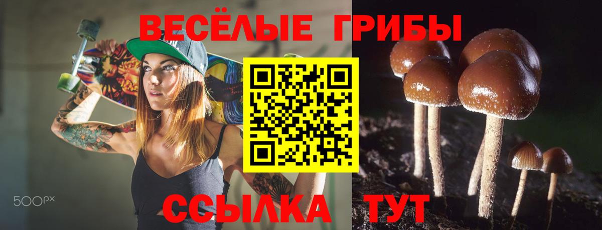 Псилоцибиновые грибы GOLDEN TEACHER  Вход с VPN  Ханты-Мансийск  Галлюциногенные грибы мухоморы 